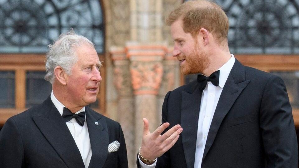 Princ Charles, princ Harry