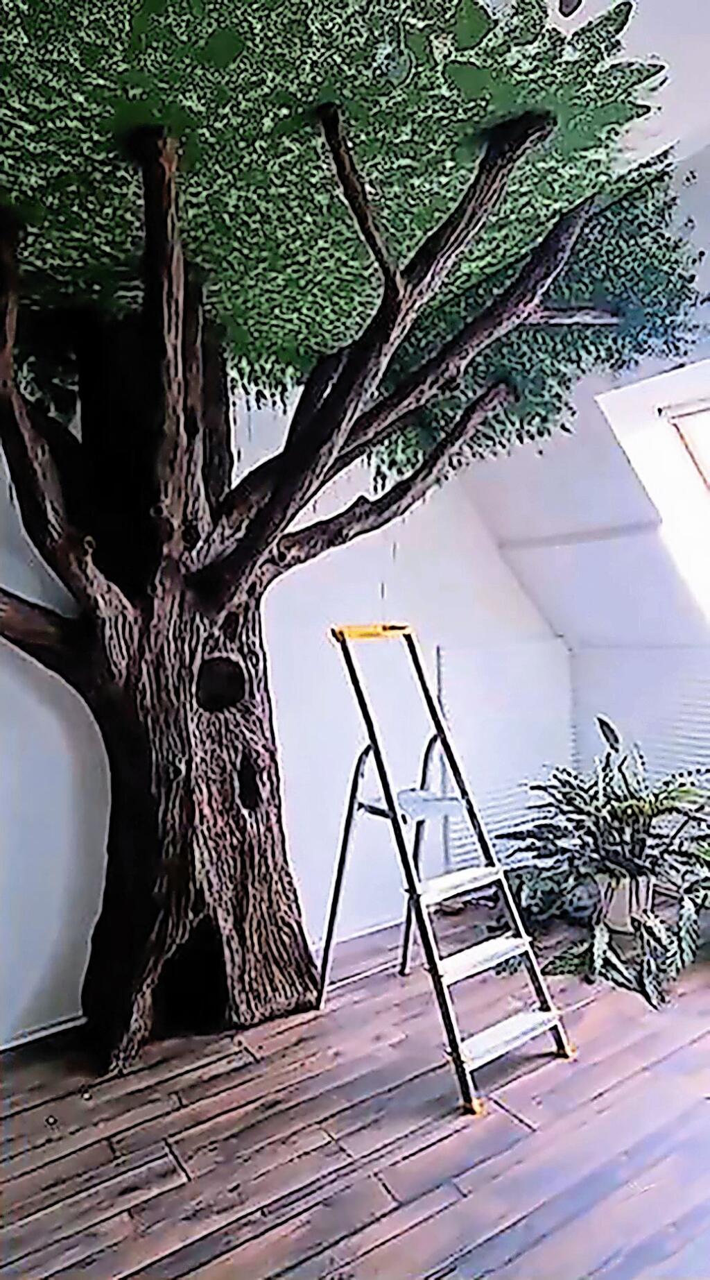 KREATÍVNA
MAJSTERKA
Kalisová
si v byte
postavila
strom.