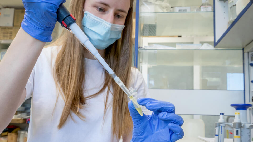 Laboratórium Axon Neuroscience.