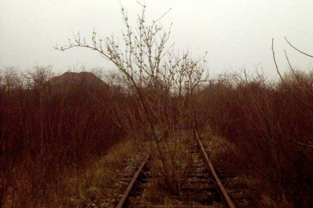 Na prázdnych koľajách porastie tráva