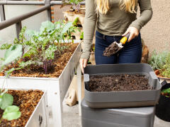 7 zásad pestovania ZELENINY na BALKÓNE! Inšpirujte sa balkónovými záhradkami