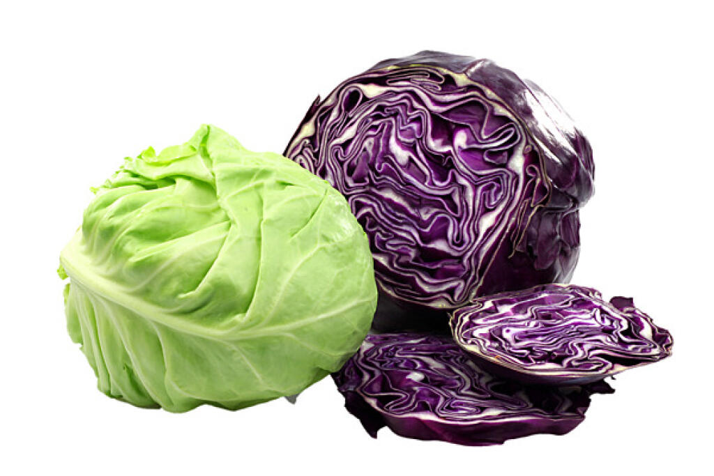 Kapusta