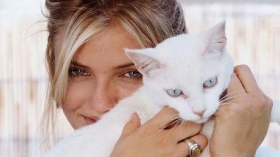 Medzi milovníčky mačiek patrí aj herečka Cameron Diaz.