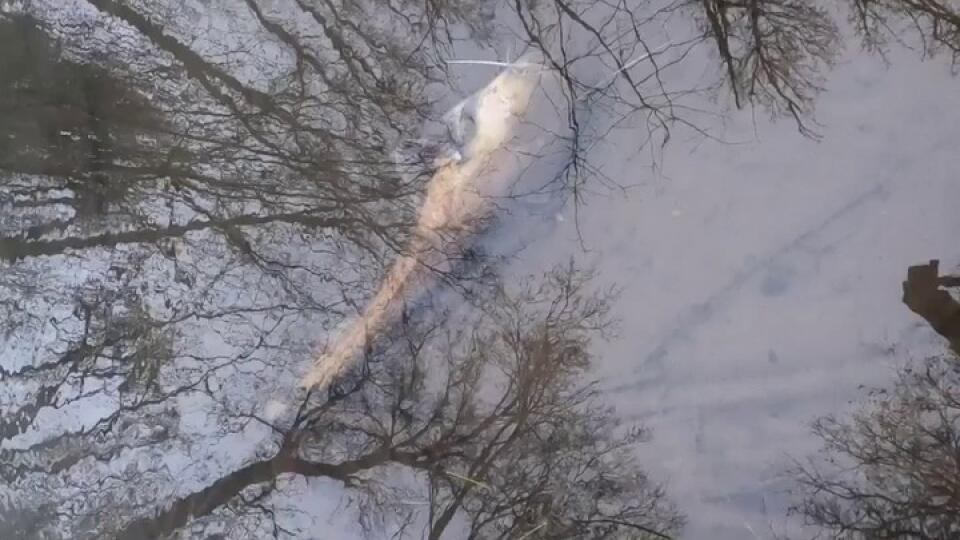 Malý Dunaj opäť dostal krutú ranu pod pás...Čo bude ďalej?