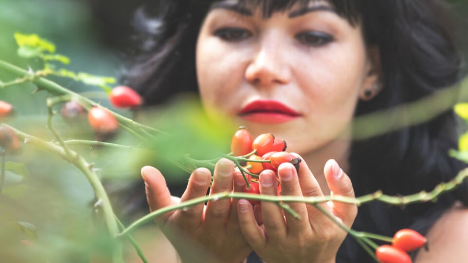 Red,Rose,Hips,In,Women's,Hands.,Sexy,Beautiful,Pretty,Brunette