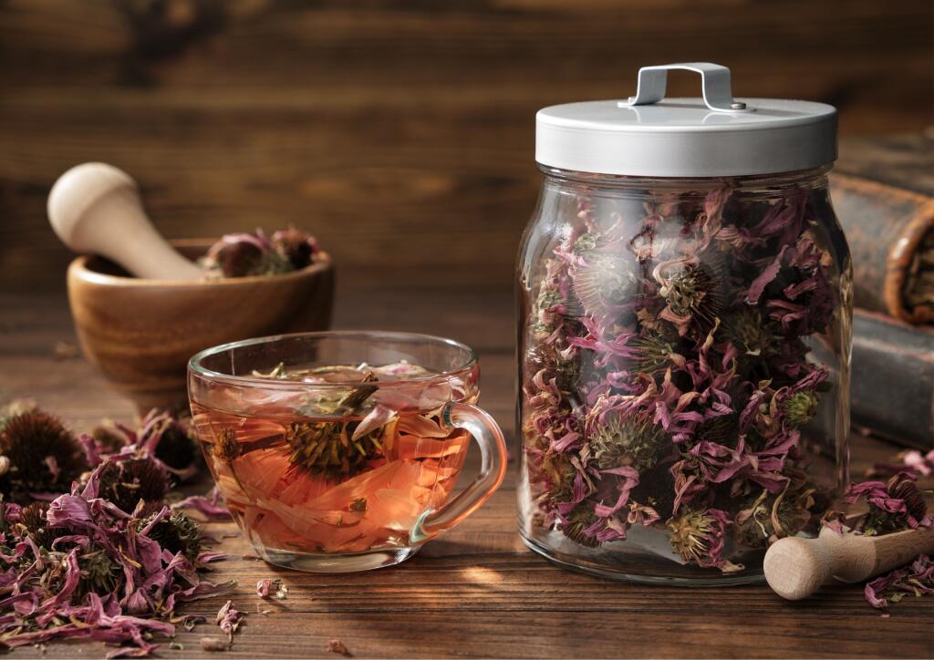 Vďaka obsahu polyfenolov, polysacharidov, alkamidov, flavonoidov, glykoproteínov, vitamínov, esenciálnych olejov a rastlinných zlúčenín má echinacea veľa skvelých účinkov.