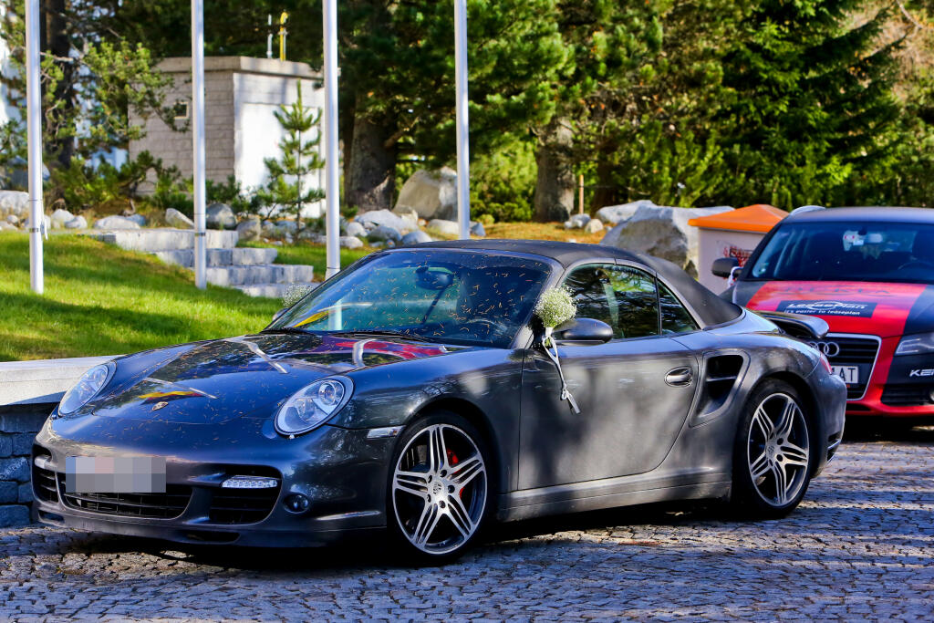 Sagan vytiahol Porsche, keď mal svadbu.