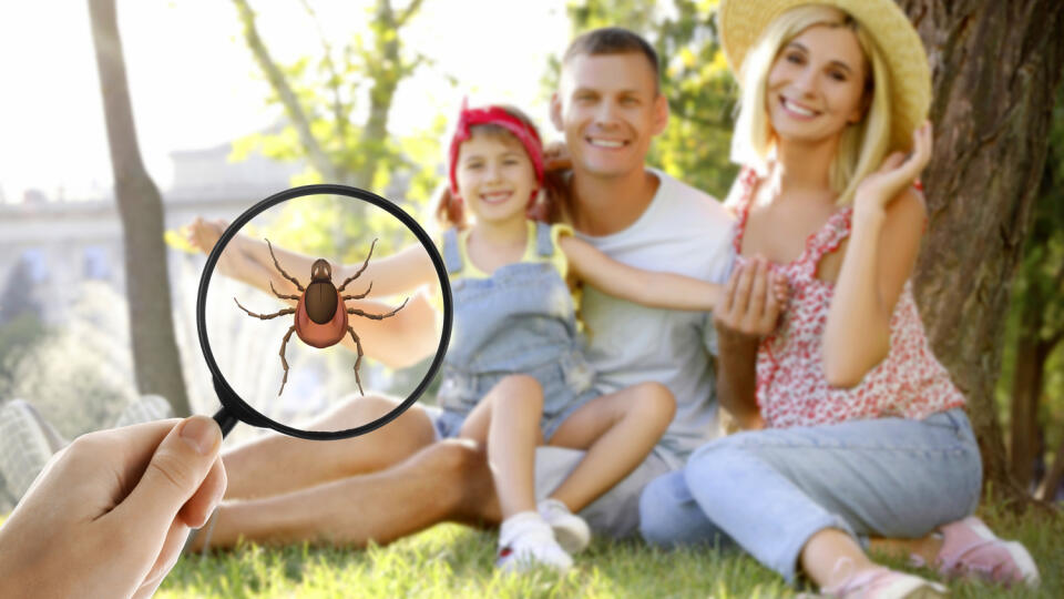 Viete, ako zatočiť s kliešťom prírodne? Máme SUPER letný tip na domáci repelent: Vyskúšajte ho!