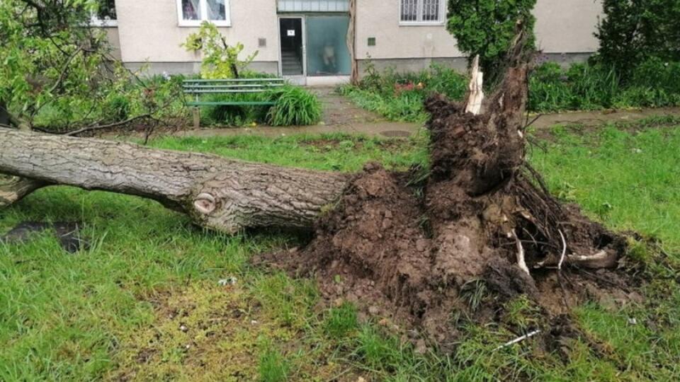 Juhomaďarské mesto Orosháza v Békešskej župe zasiahlo v pondelok večer tornádo, ktoré vyvracalo stromy a poškodilo strešné konštrukcie.