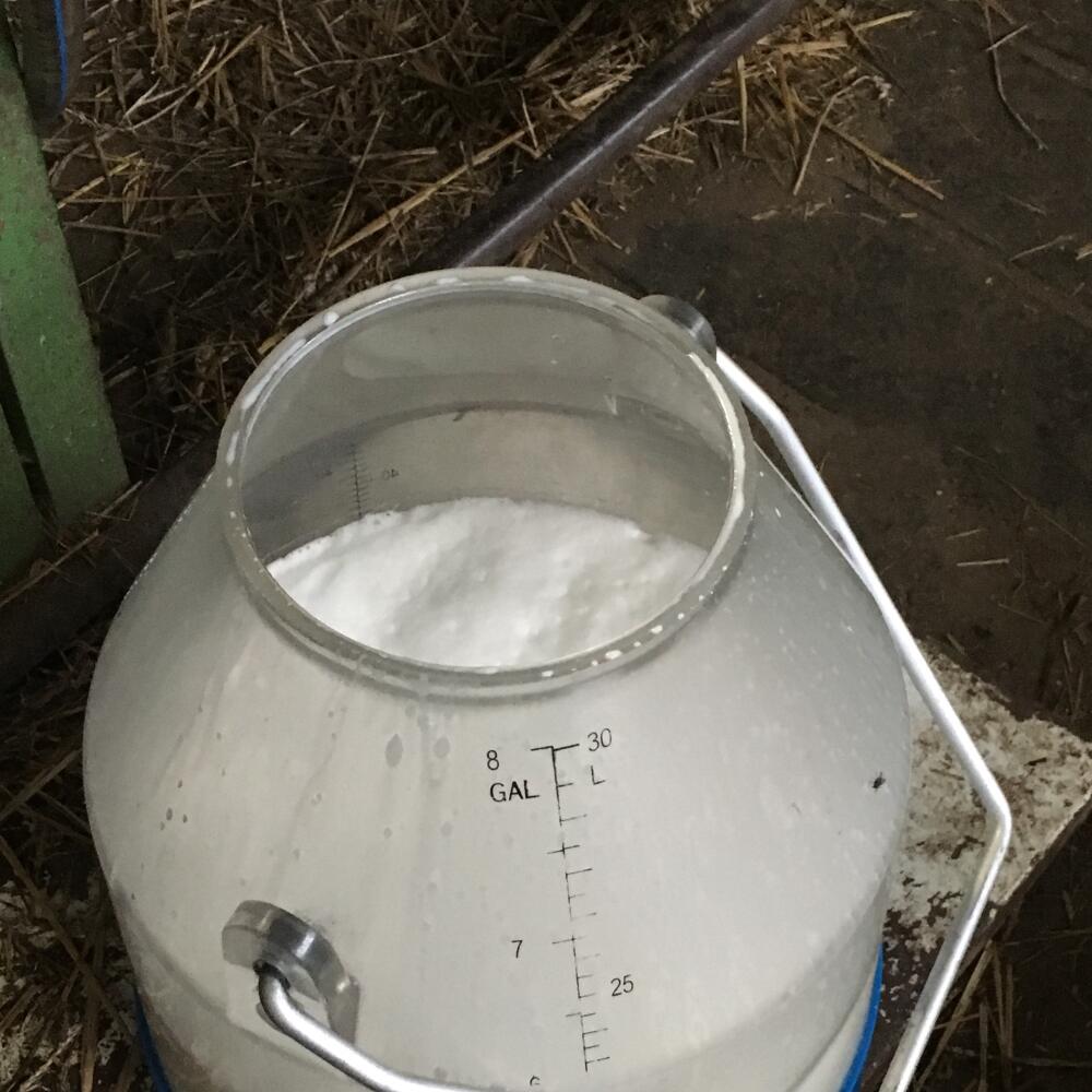 Mlieko je kvalitné, pravidlene kontrolované a hlavne výživné s vysokým obsahom potrebných látok.