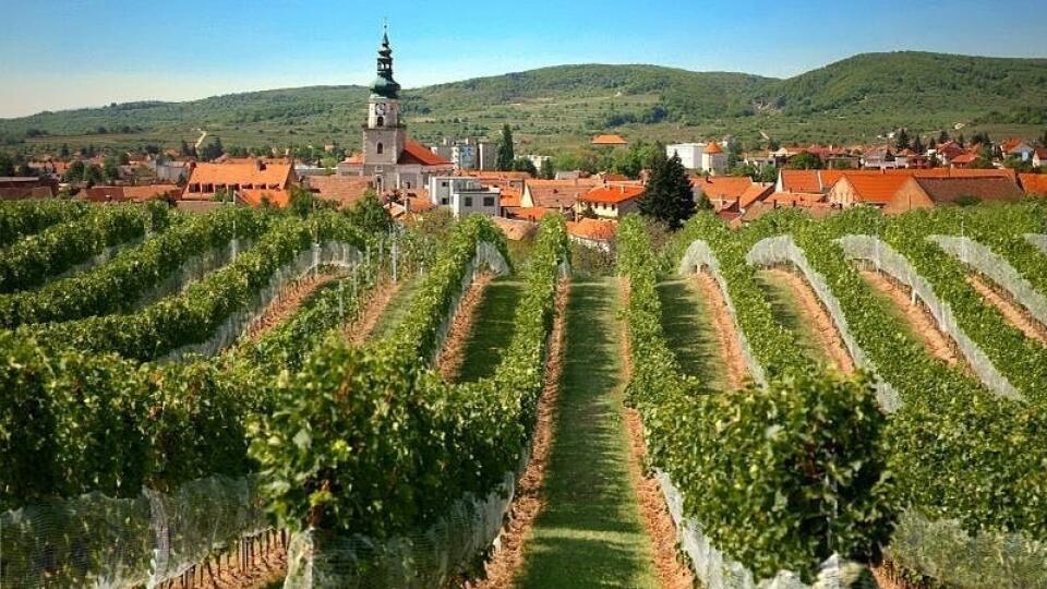 Modra sa nachádza v okrese Pezinok a slobodným kráľovským mestom je od roku 1607.