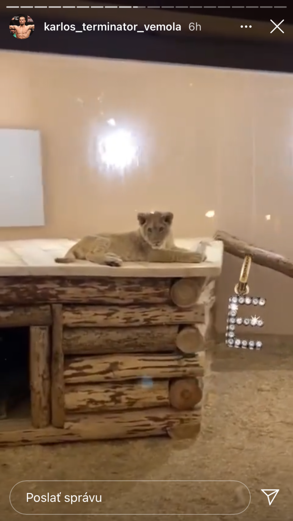 Karlos Vémola vystaval levici Else luxusnú voliéru, ktorú môžu závidieť aj v zoologickej záhrade.