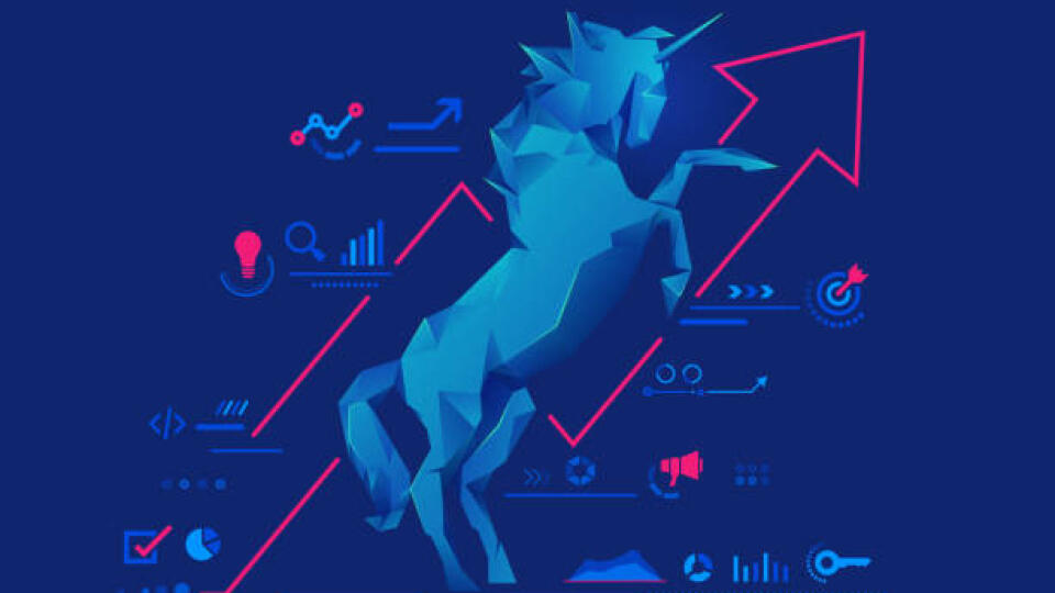 Jednorožec/Unicorn
