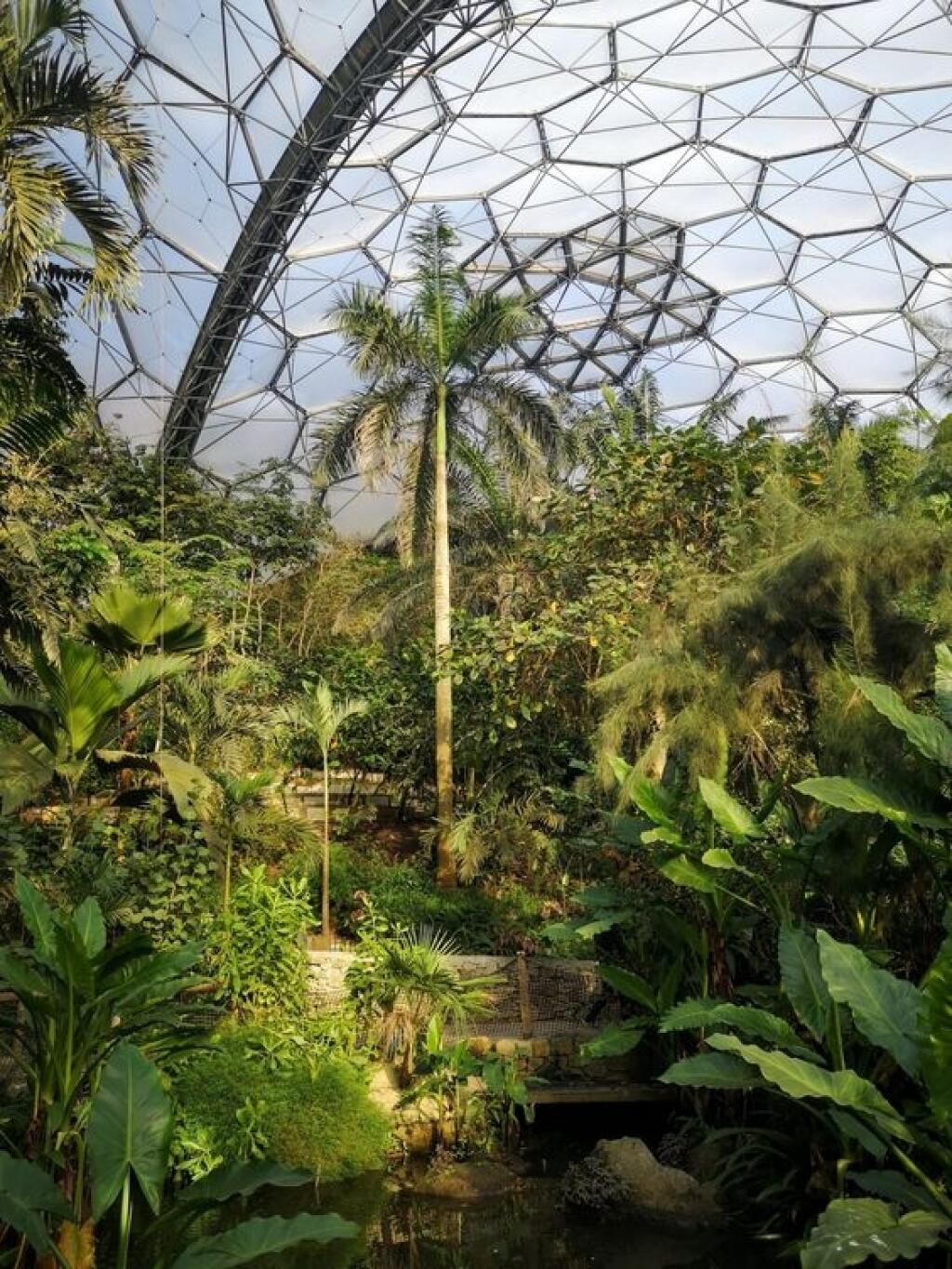 The Eden Project