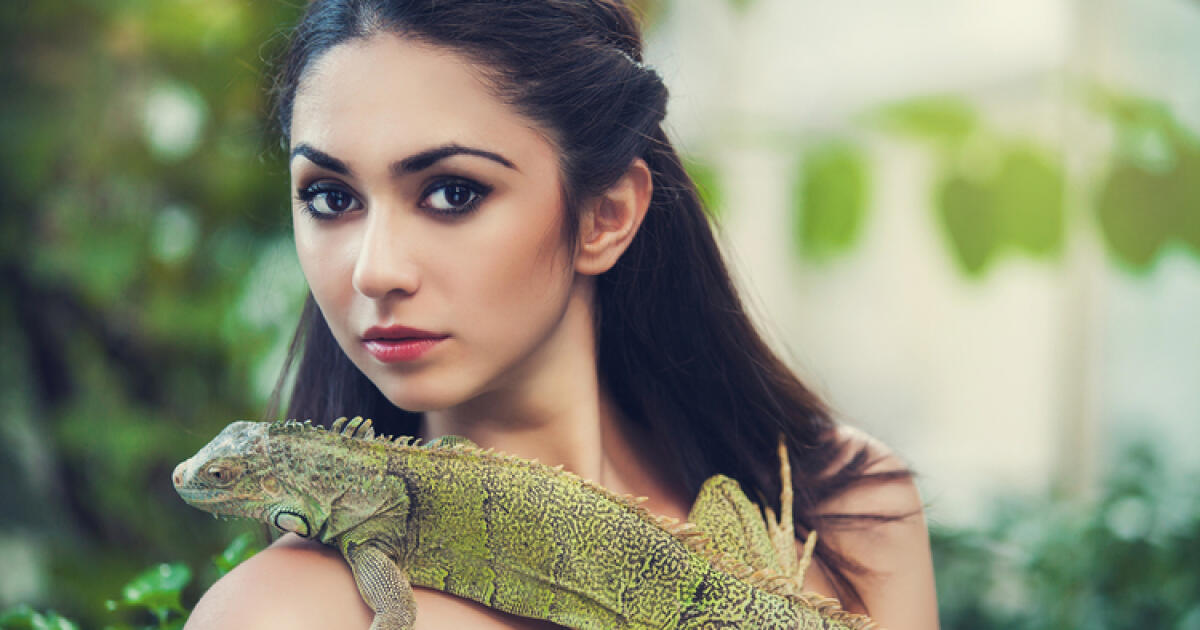 Recept pre ambiciózne ženy: Správajte sa ako chameleón a zožnete úspech 