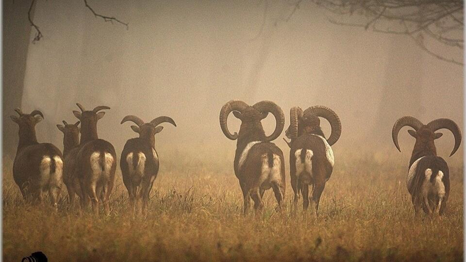 Ilustračná fotografia