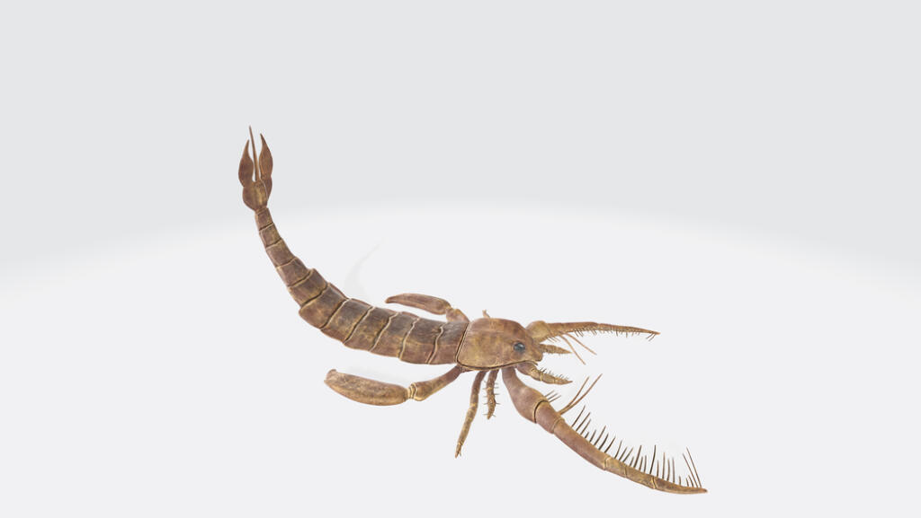 3d,Illustration,Of,Jaekelopterus.,Paleo,Dinosaur,Jaekelopterus.