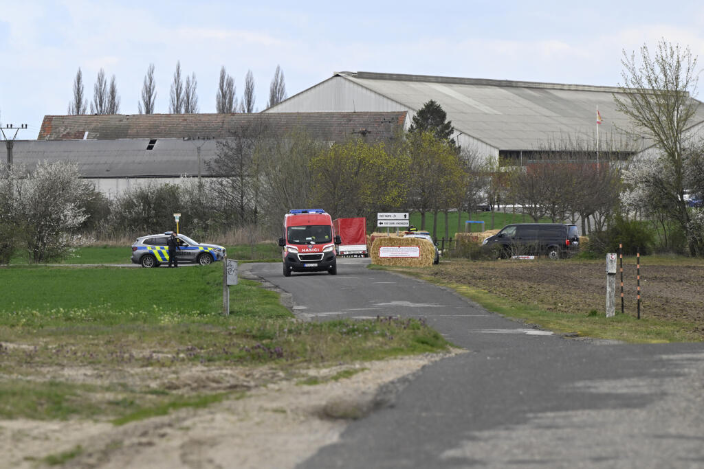 Na snímke farma v Plaveckom Štvrtku v okrese Malacky, v ktorej potvrdili výskyt slintačky a krívačky v pondelok  31. marca 2025. Výskyt slintačky a krívačky medzi dobytkom na farme v Plaveckom Štvrtku potvrdili v nedeľu (30. 3.) Tamojšia farma sa stala piatym chovom, kde sa na Slovensku nákaza vyskytla. FOTO TASR - Pavel Neubauer
