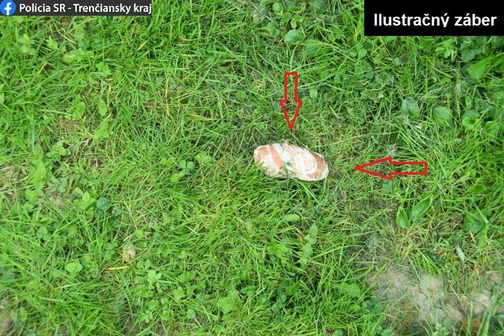 Ilustračné foto