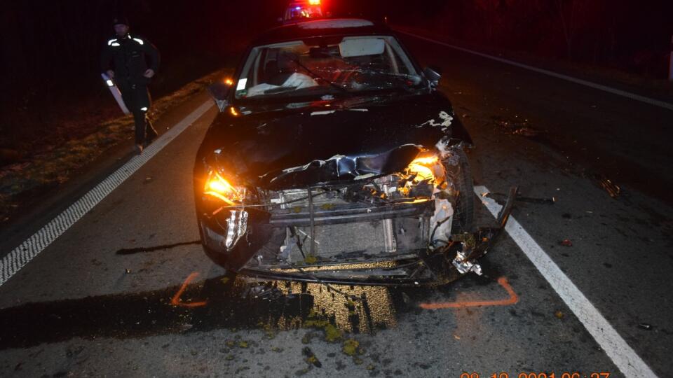 Opitý vodič zrazil dve lane a jedného jeleňa. Šofér na seba privolal policajtov, ktorí ho podrobili dychovej skúške. Nafúkal viac ako 1,5 promile.