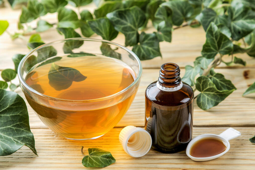 Výťažky z brečtanu sú skvelé pre účinky na upokojenie kašľa. Sirup však vždy kupujte v lekárni!