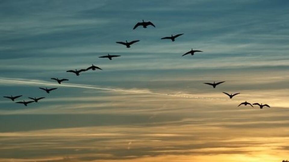 Ilustračná fotografia