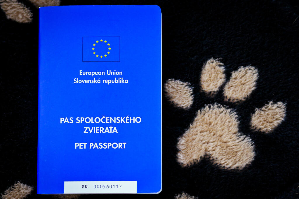 Na snimke Pas spolocenskeho zvierata, resp. Pet Passport, ktory sluzi ako cestovny doklad pre domace spolocenske zvierata, hlavne macky a psy.