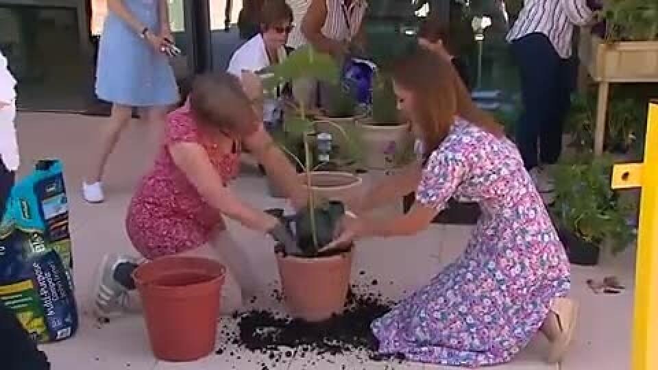Kate Middleton zasadila strom nádeje v záhrade v detskom hospici the Noke.