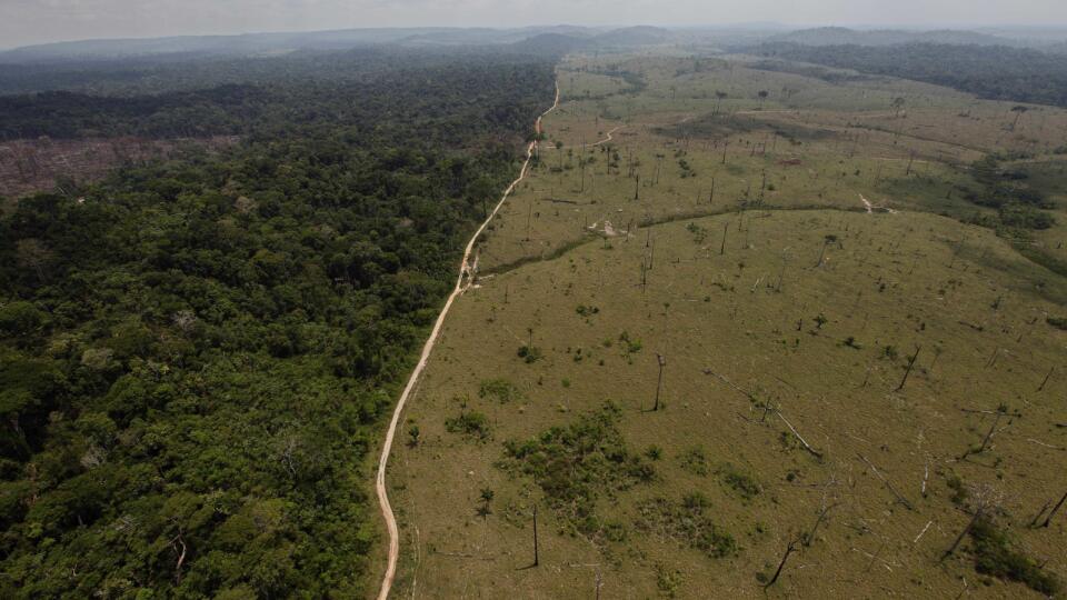 Brazília prales Amazonský odlesňovanie nárast