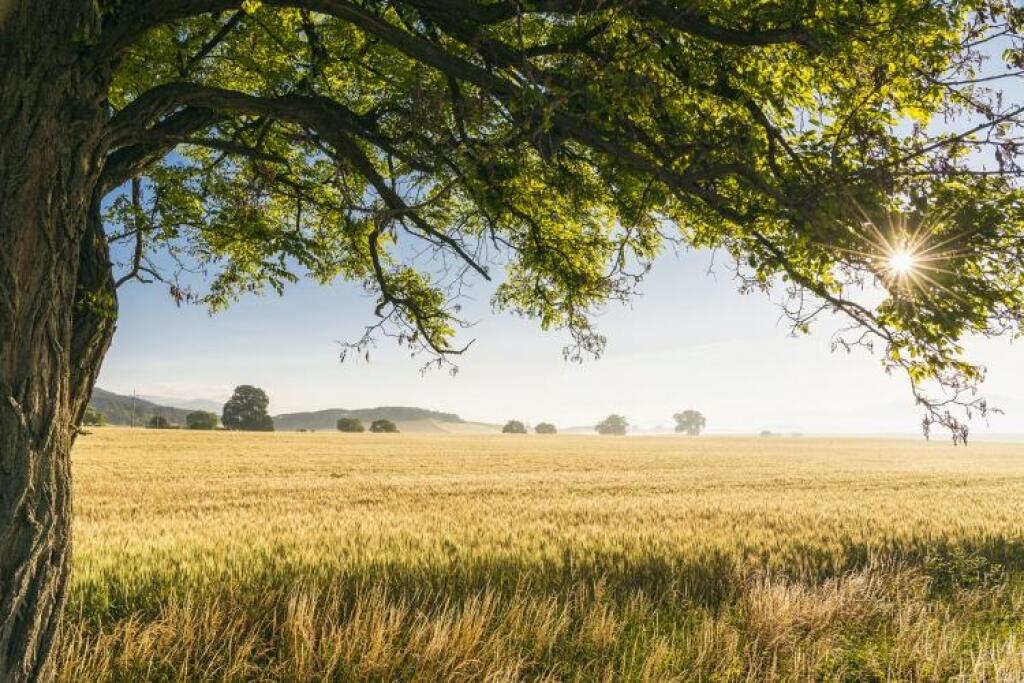Cestovateľ a fotograf: Kde si rozložím statív, tam sa zložím aj ja