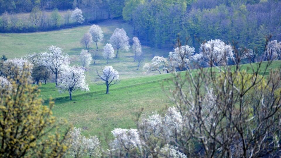 Brdárka je na konci apríla jednou z najkrajších slovenských dedín.