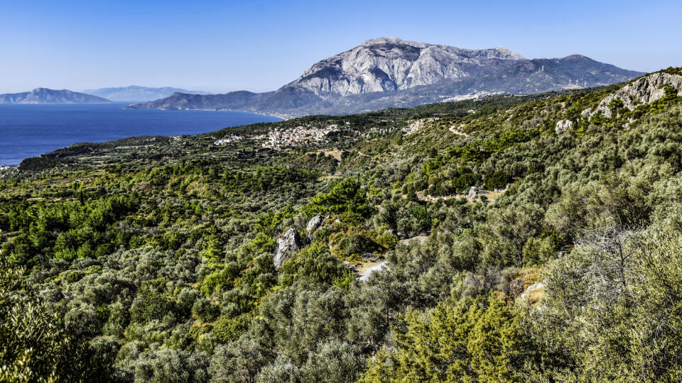 V KRAJI SADOV
Centrálna časť južných svahov ostrova  Samos, v pozadí najvyšší masív Kerkis.