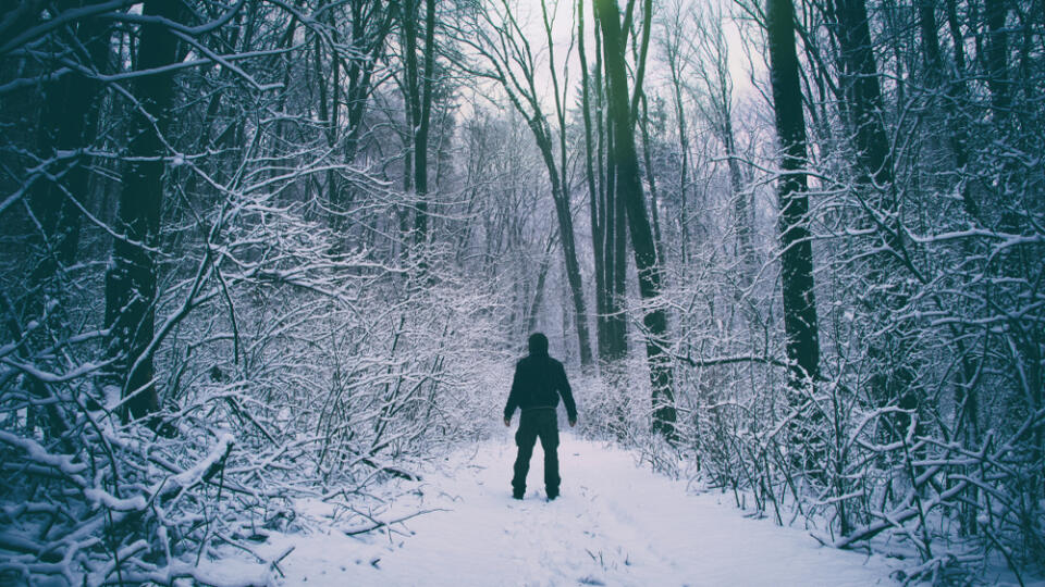 Man,Standing,With,No,Fear,In,Snowy,Mystery,Forest,And