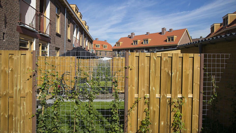 Garden fences stand outside renovated former homes of wharf workers in the