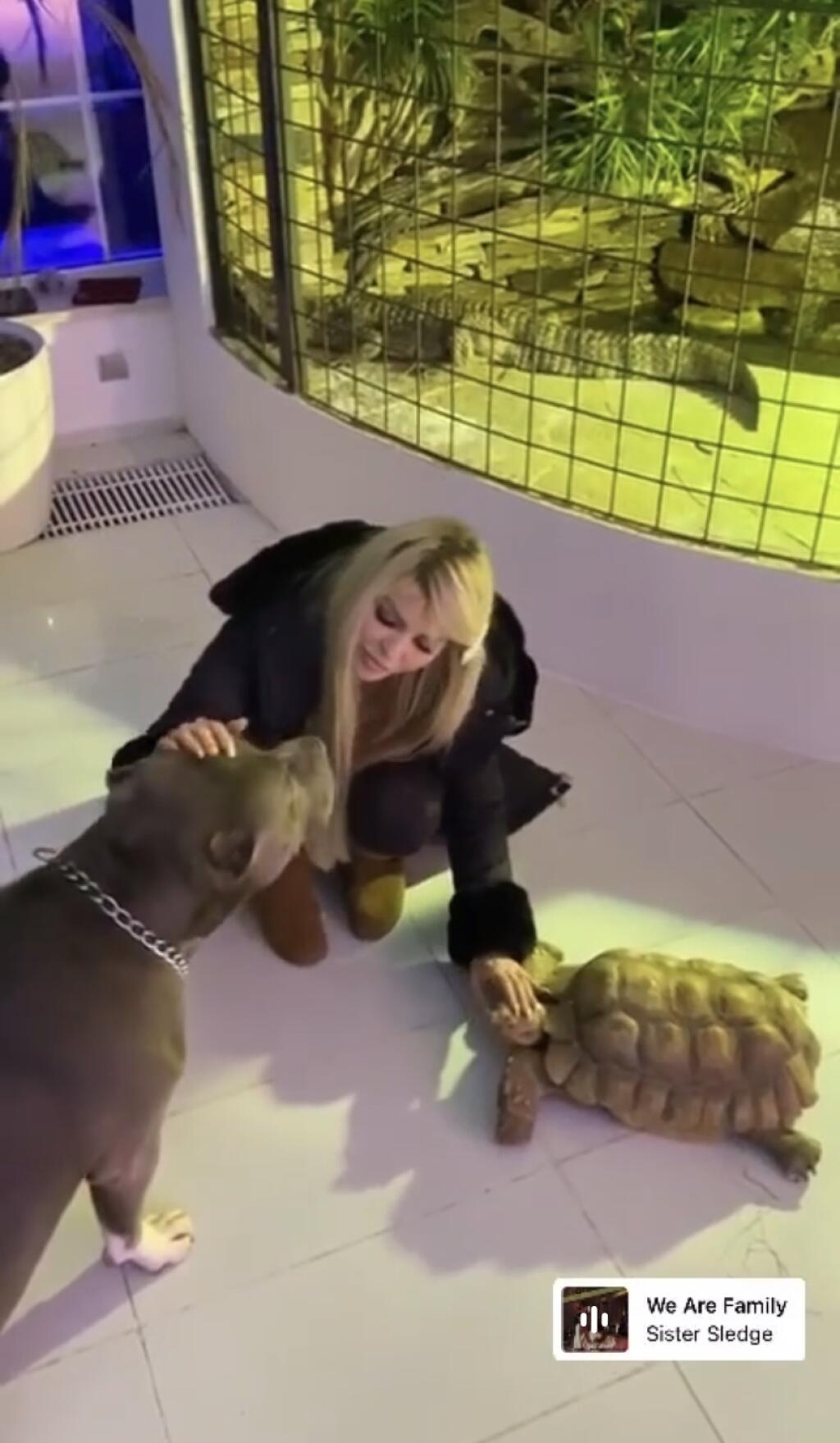 Snúbenci si nového miláčika priviedli do pražskej vily. Spokojný bol aj bojovníkov pes. V pozadí môžete vidieť krokodíla, ktorého Vémola v dome chová.