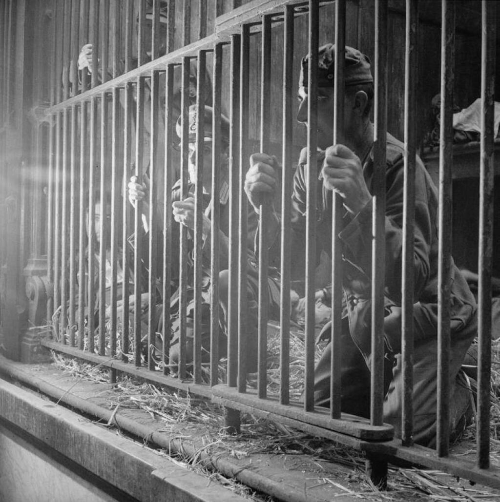 человеческий зоопарк в бельгии 1958