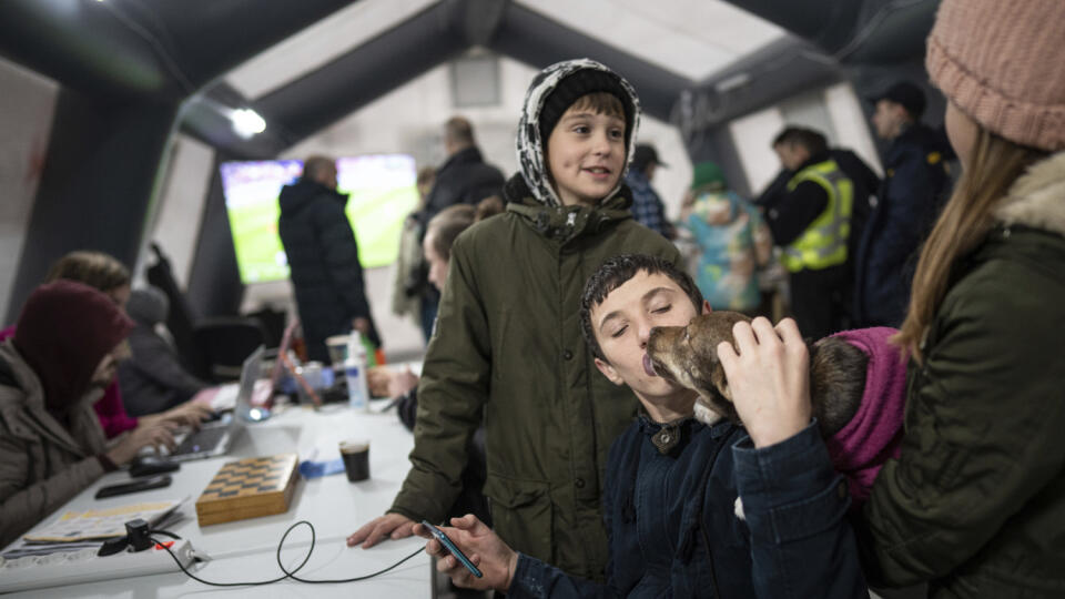 WA 32 Buča - Chlapec, ktorý si nabíja mobilný telefón, bozkáva psa v tzv.