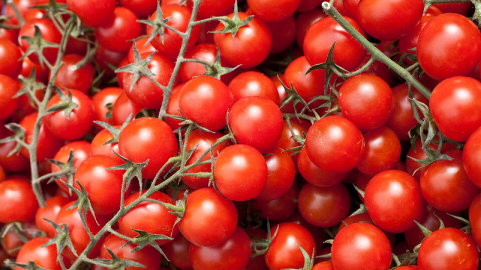 Cherry paradajky z Maroka doviezli aj na Slovensko.