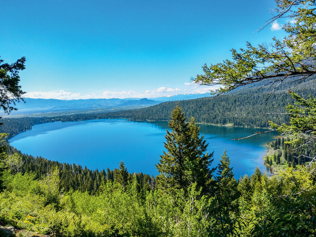 Krajina dymiacej zeme 14/15