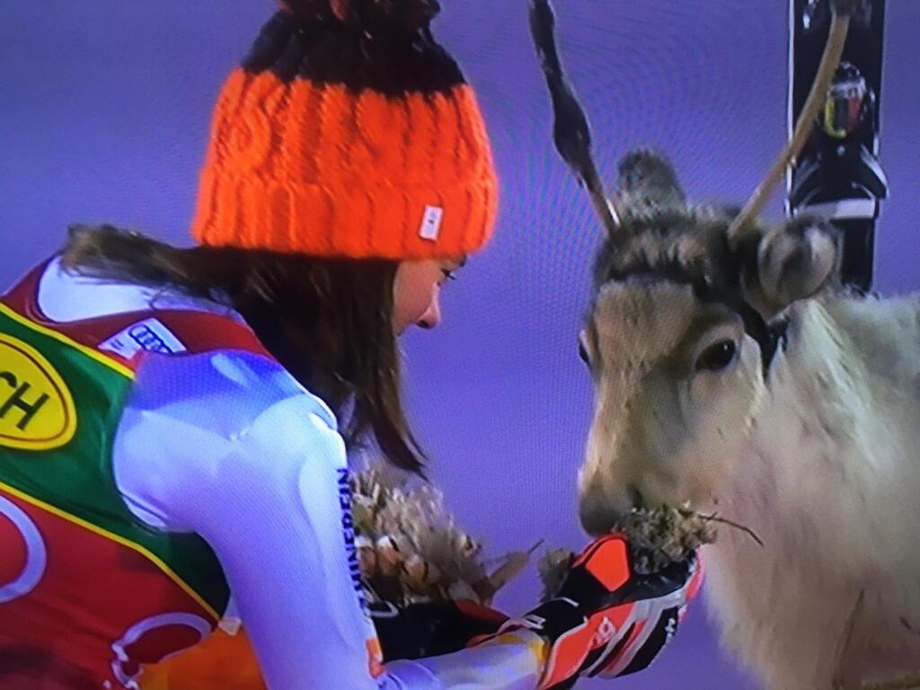 Vlhová získala vďaka víťazstvu v slalome v Levi ďalšieho soba do zbierky, pomenovala ho po priateľovi Michalovi. Už tradične svojho soba ako víťazka po pretekoch nakŕmila.