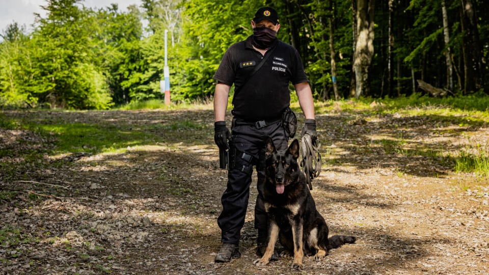 Zelená hranica medzi Slovenskom a Ukrajinou neďaleko obce Petrovce na východnom Slovensku.
