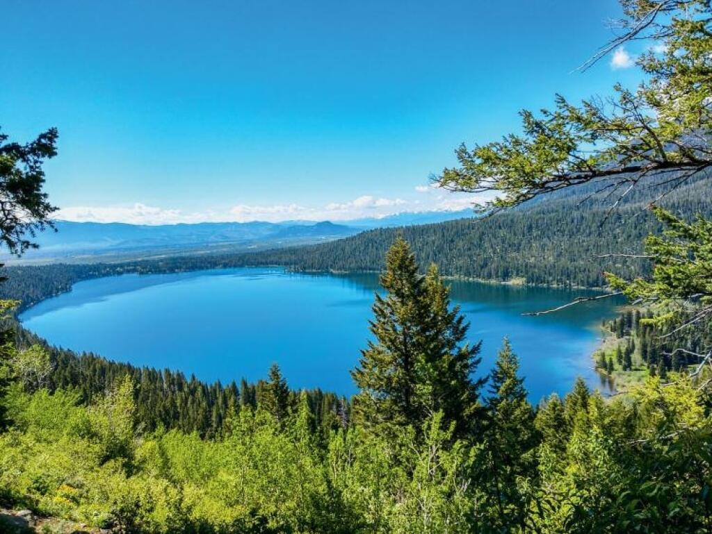 Yellowstone: Čo čakať od krajiny dymiacej zeme, kde by naši lesníci iba žasli