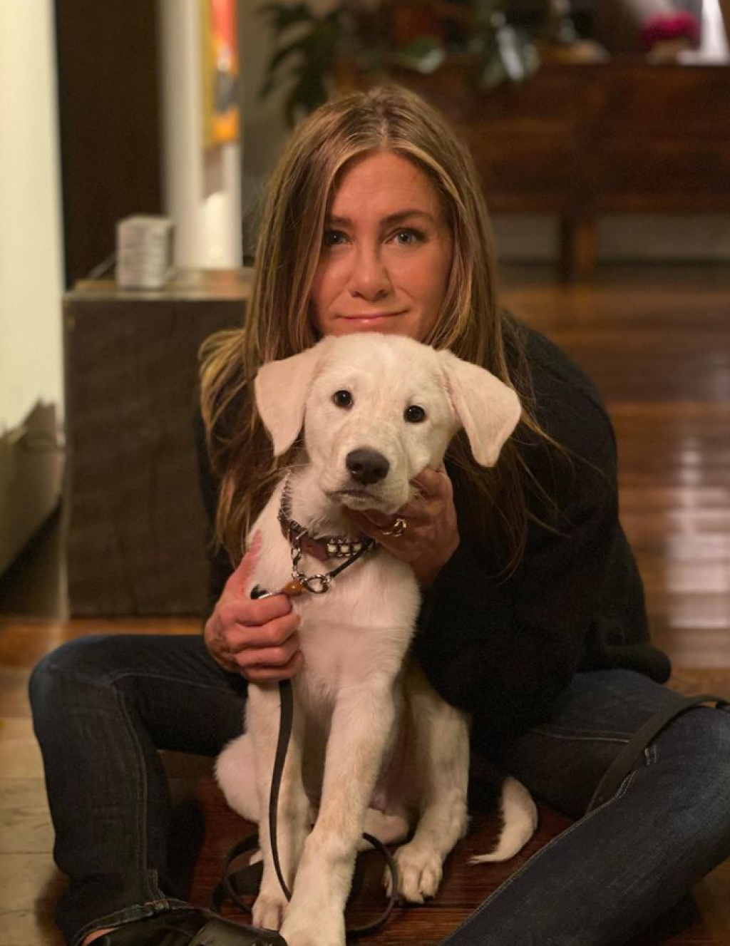 Jennifer Aniston (Rachel)