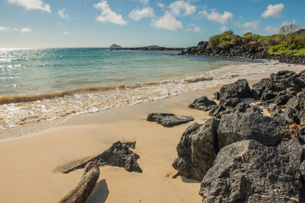A Landscape view of the beach at Punta Cormorant, Floreana Island. Galapagos