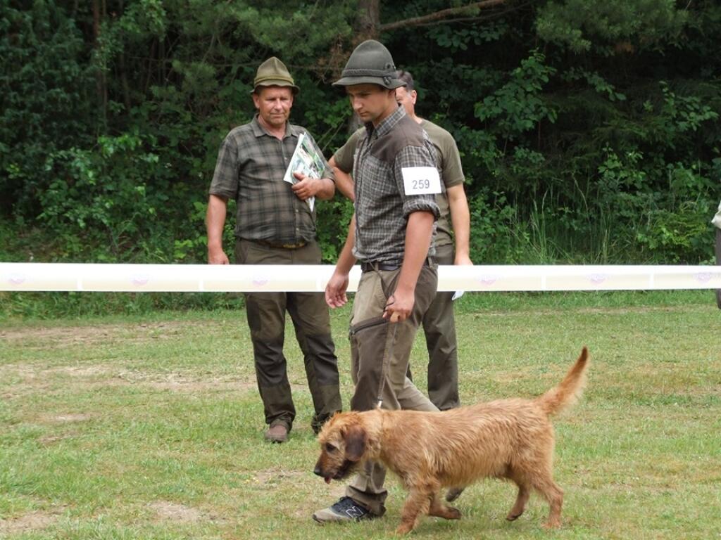 Sielnica: Klubová výstava duričov 2019