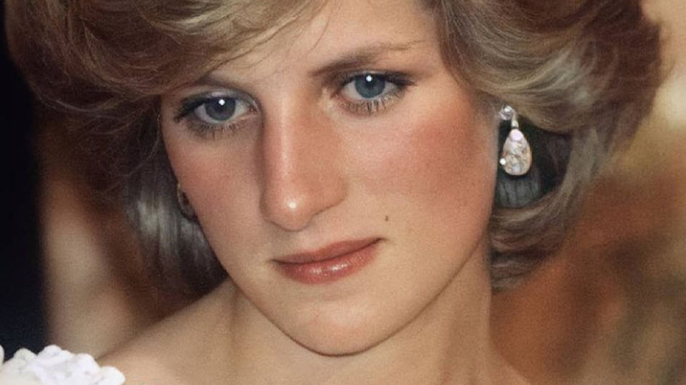 Princess diana записи приватов