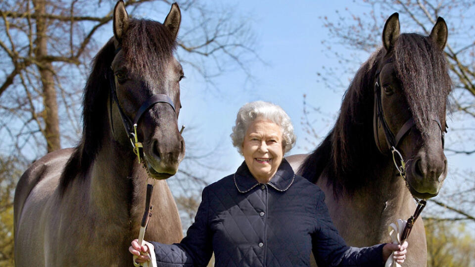 Britská kráľovná Alžbeta II. kone miluje.