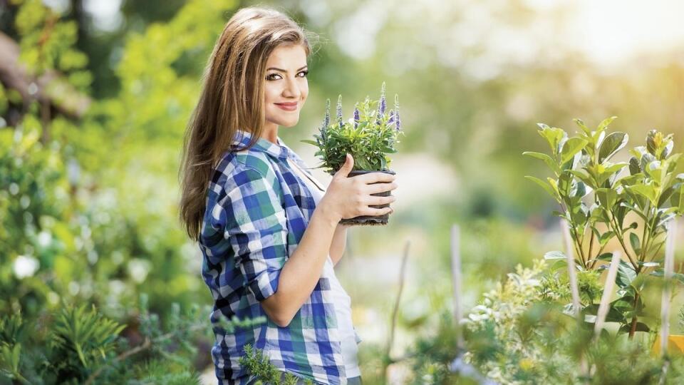 Každá správna gazdinka by mala mať doma liečivé bylinky.