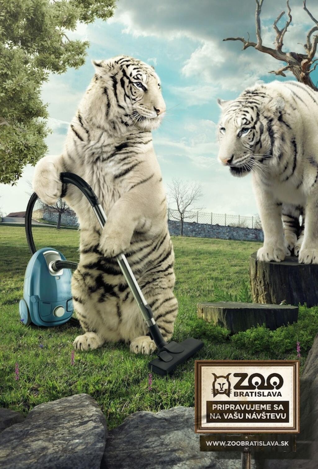 Zoo marketing. Креативная реклама зоопарк. Креативный зоопарк. Зоопарк социальная реклама. Рекламный плакат зоопарка.