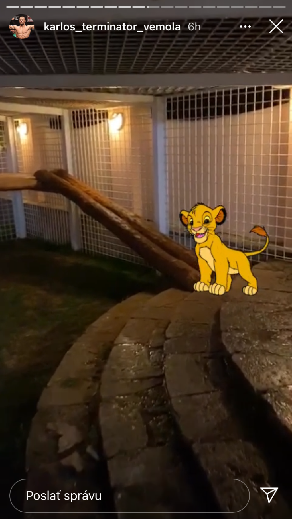 Karlos Vémola vystaval levici Else luxusnú voliéru, ktorú môžu závidieť aj v zoologickej záhrade.